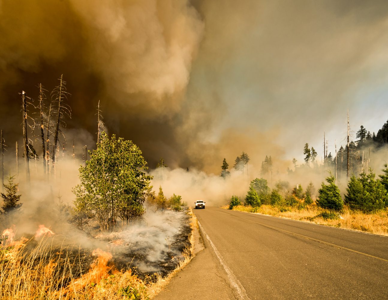Drone pilots firefighting